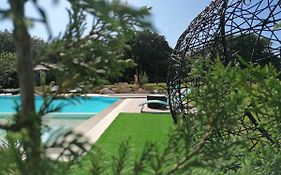 PÉROLA D'ÓBIDOS t1